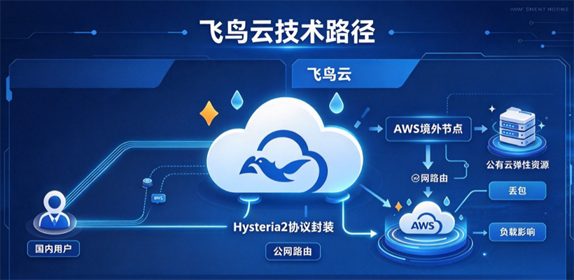 飞鸟云实测：12元/年的机场到底能不能用，我把该踩的坑都踩了一遍配图